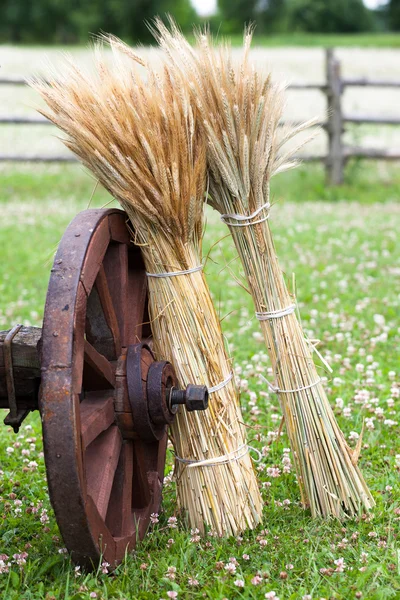 Rueda de carro de madera y gavillas de espigas de trigo. Estilo rústico . —  Fotos de Stock