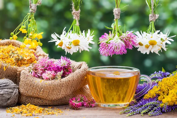 Healing herbs bunchesm,  hessian bags with dried plants and cup — Stock Photo, Image