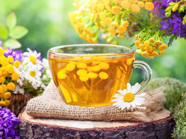 Cup of healthy tancy tea and healing herbs.Herbal medicine. — Stock Photo, Image