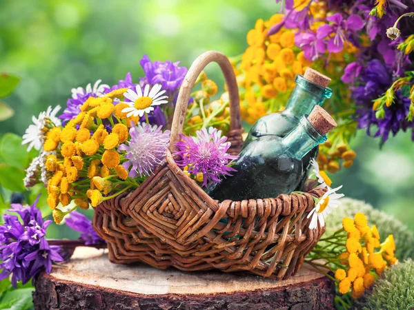 Wicker basket with healing herbs and bottles of tincture or cosm — Stock Photo, Image