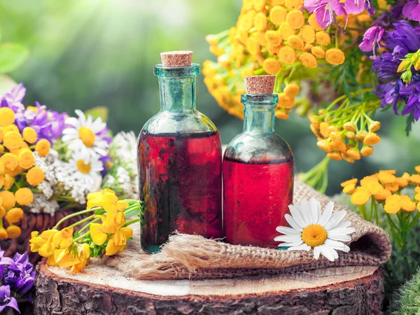 Bottles of tincture or cosmetic product and healing herbs. Herba — Stock Photo, Image