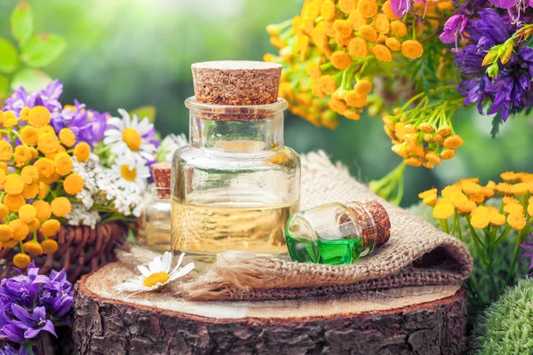 Bottles of essential oil or potion, healing herbs and wildflower — Stock Photo, Image