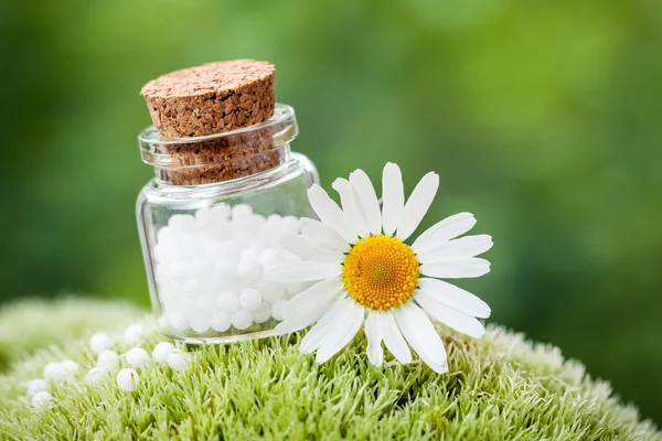 Bottle of homeopathy globules and daisy flower on green moss. — Stock Photo, Image