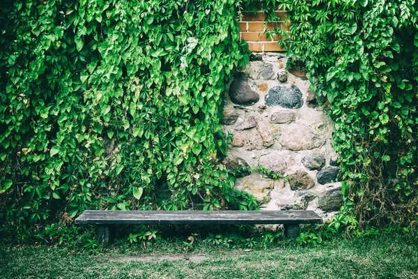 Träbänk nära gammal stenmur täckt av murgröna blad — Stockfoto