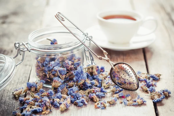 Gesund vergiss mich nicht Tee im Glas, Sieb und Teetasse an — Stockfoto