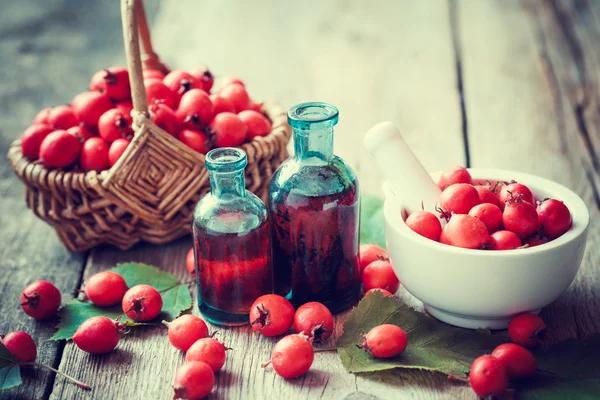 Мортира из ягод боярышника, две бутылки настойки и яблоки с шипами — стоковое фото