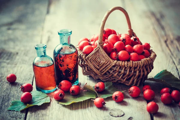 Tincture bottles of hawthorn berries and ripe thorn apples — Stock Photo, Image