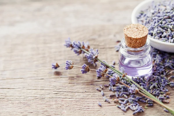 Essential lavender oil and dry lavender flowers. — Stock Photo, Image