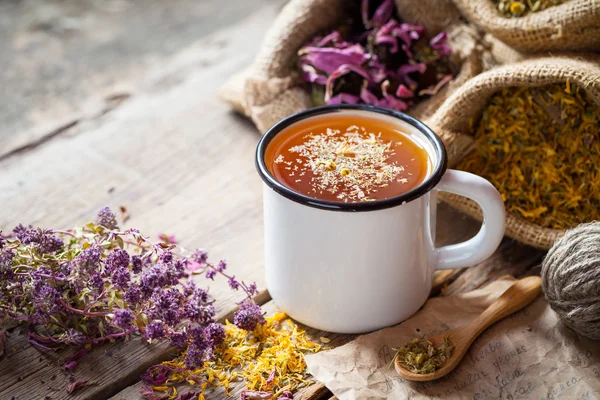 Tasse gesunden Gänseblümchentee, Honig und Säcke mit Heilkräutern. — Stockfoto