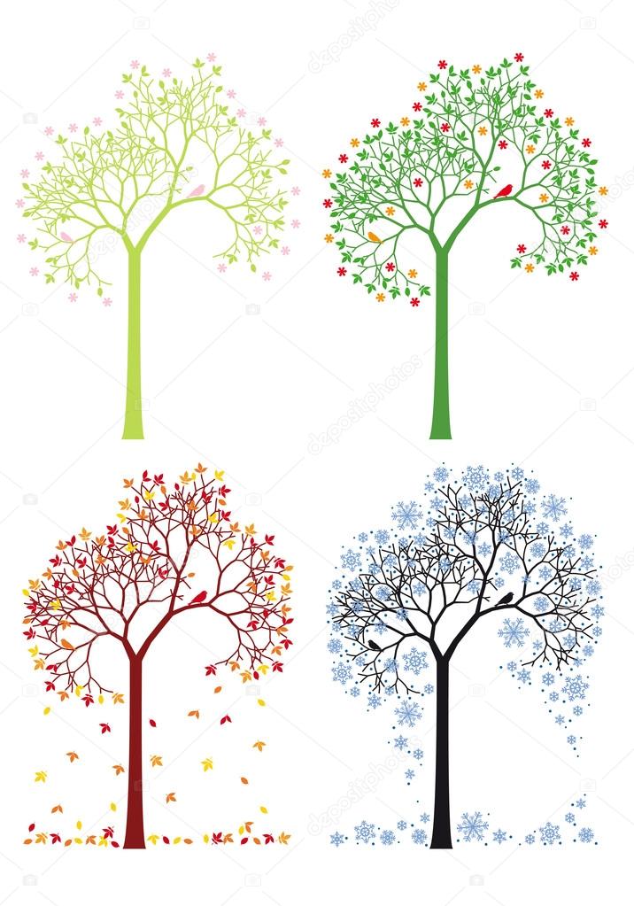 Autumn, winter, spring, summer tree, vector set Stock Vector Image by ...