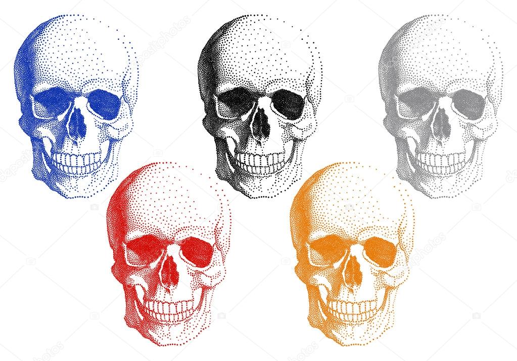 Human skulls, vector set