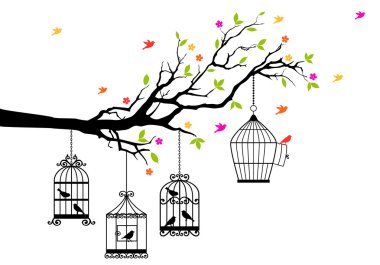 özgür kuşlar ve birdcages, vektör 