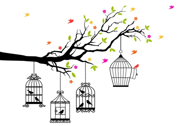 Oiseaux libres et cages à oiseaux, vecteur — Image vectorielle