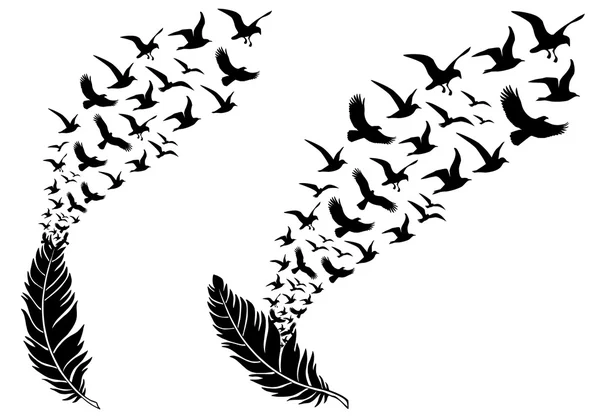 Plumas con aves voladoras, vector — Vector de stock