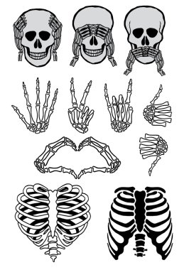 Halloween skull set, vector