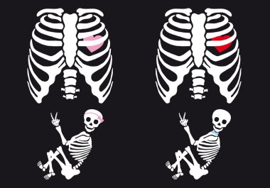 Download Anatomical Skeleton Free Vector Eps Cdr Ai Svg Vector Illustration Graphic Art