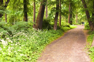 Büyük bir parkta kumlu bir yol