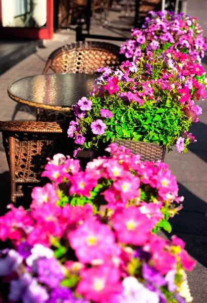 Un caffè di strada, decorato con fiori freschi — Foto Stock