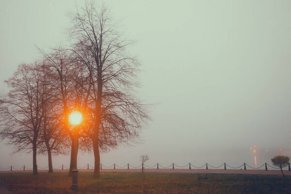 Несколько деревьев в тумане на реке, ночь, размытие