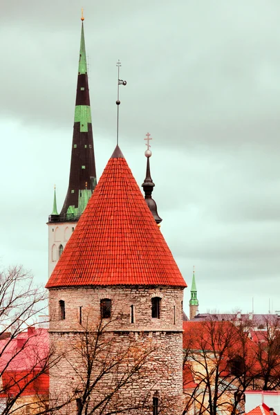 Gamla torn i Tallinn — Stockfoto