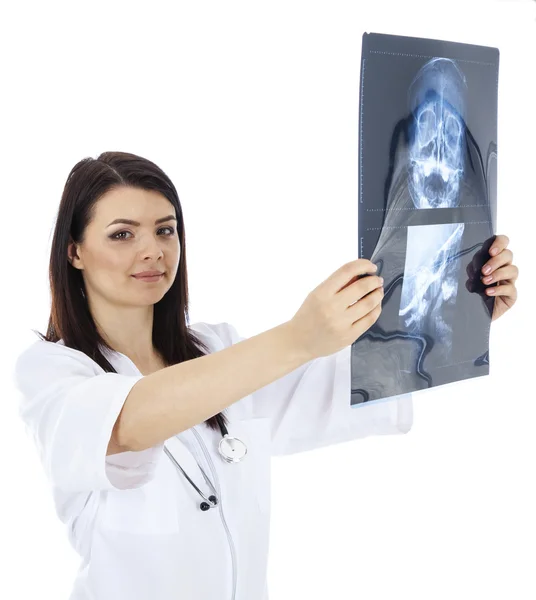 Hermosa mujer médico con rayos X — Foto de Stock
