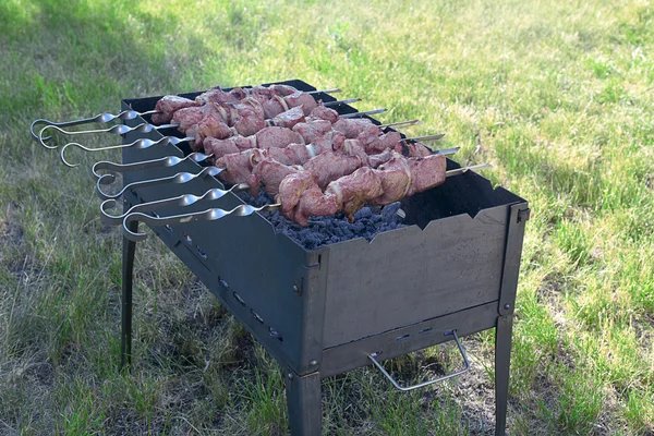 Succulent meat on a skewer on the grill — Stock Photo, Image