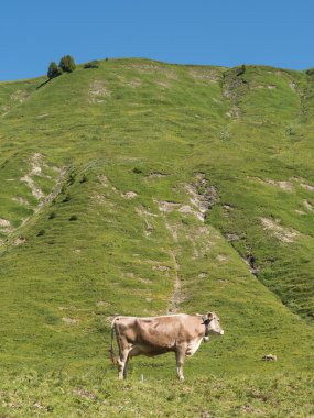Schroecken Köyü çevresinde dağlar