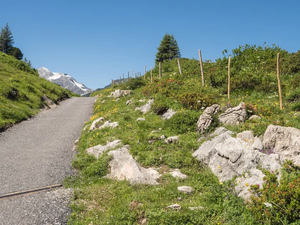 Bergen rondom het dorp Schroecken — Stockfoto