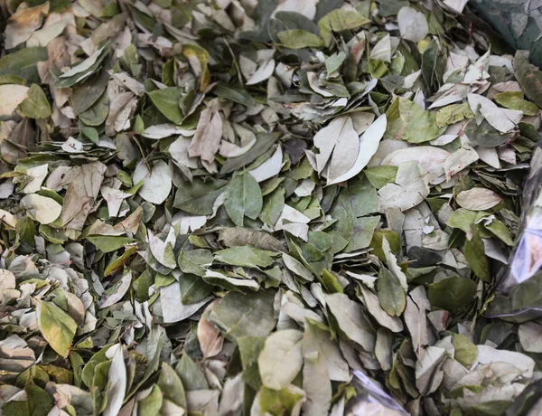 Satılık koka yaprakları