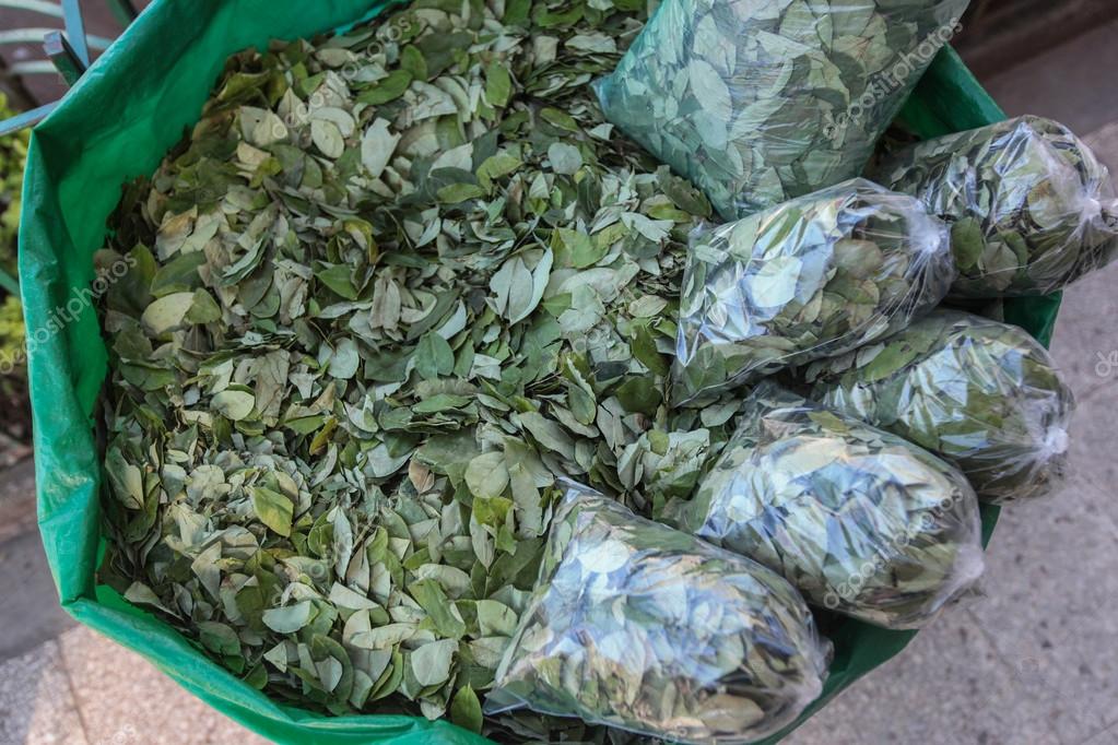 De coca bladeren te koop Redactionele stockfoto © haak78 111627032