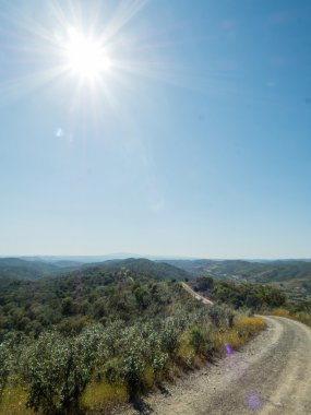 Yol boyunca bir yerde