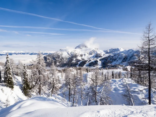 Θέα από το χειμερινό τοπίο — Φωτογραφία Αρχείου