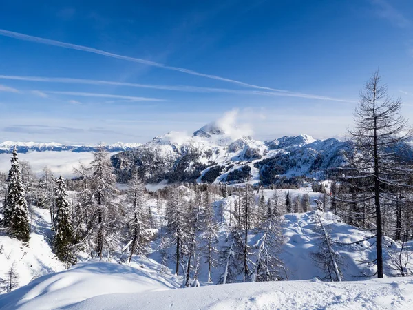 En vy av vinterlandskapet — Stockfoto