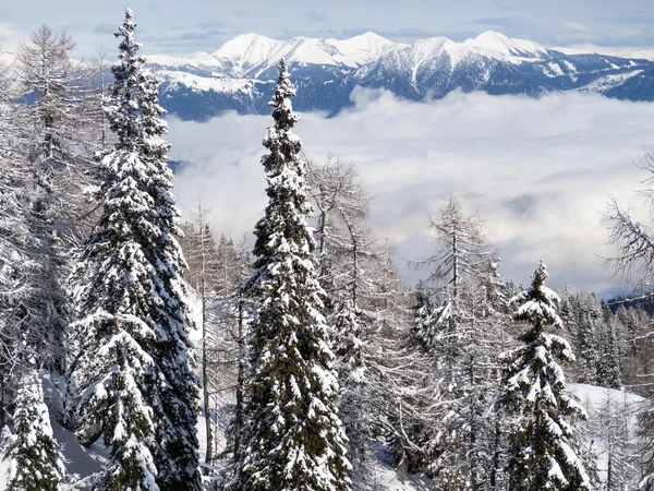 A view of the winter landscape — Stock Photo, Image