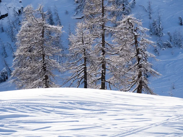 Een weergave van de winterlandschap — Stockfoto