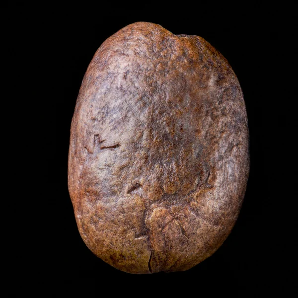 Kaffeböna isolerad på svart bakgrund — Stockfoto