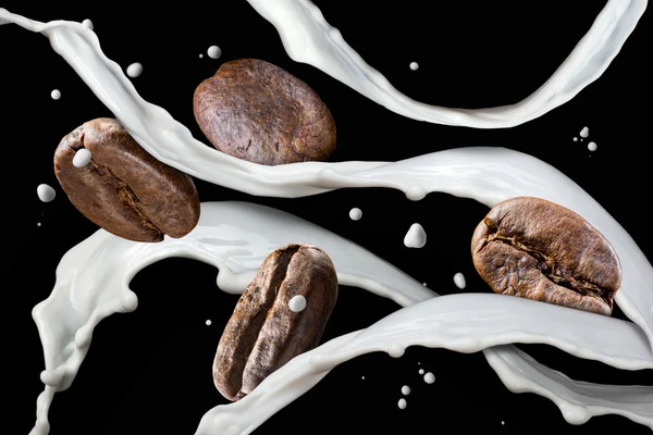 Granos de café con salpicadura de leche aislados en negro — Foto de Stock