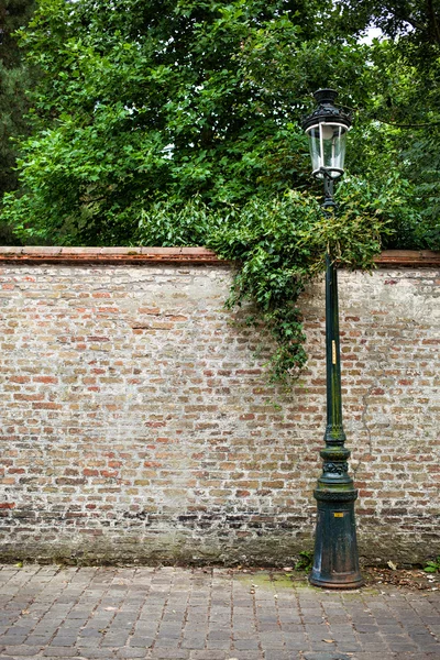 Ліхтар на сірій стіні переплетений плющем — стокове фото