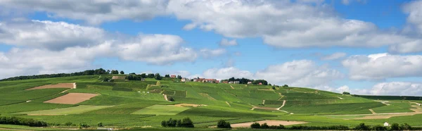 Paisagem vinícola na França — Fotografia de Stock