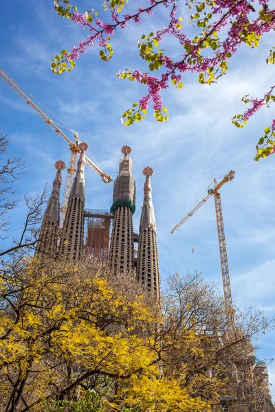 Знаменитый шедевр архитектуры Sagrada Familia в Барселоне — стоковое фото