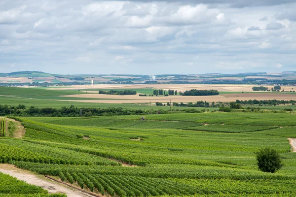 Wijngaard landschap in Frankrijk — Stockfoto