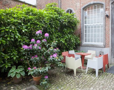 Teracce çiçekler ile üzerinde rahat kafe 