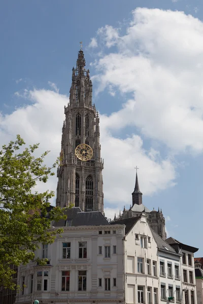 Antwerpen med domkyrkan av vår dam tagit — Stockfoto