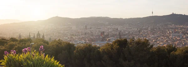 Panorama z barcelona — Zdjęcie stockowe