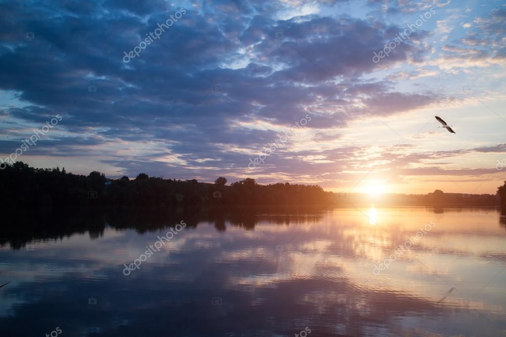 Beau Coucher De Soleil Sur Le Lac Avec Loiseau Dans Le Ciel