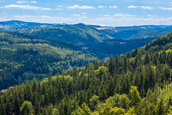 Пейзажі гір. Панорама луків і лісів — стокове фото