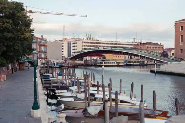 Accademias bridge i Venedig — Stockfoto