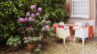 Teracce çiçekler ve ağaçlar ile üzerinde rahat kafe