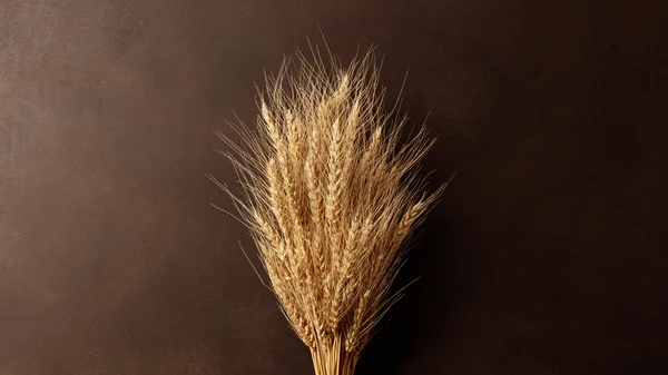 Weizen auf schwarzem Hintergrund — Stockfoto