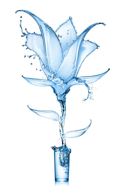 Blume aus Wasserspritzern — Stockfoto